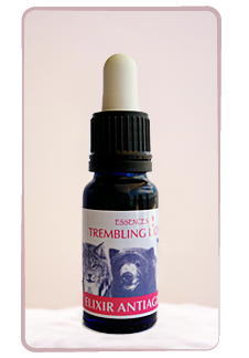 Elixir Antiaging
